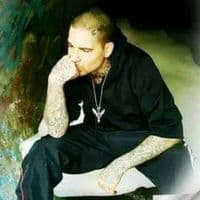 TikTok Account - tattooedteddybear007