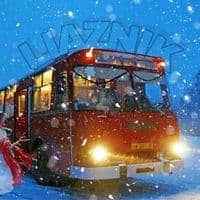 TikTok Account - liaznik