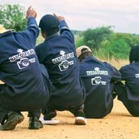 TikTok Creator - marcosfilms5