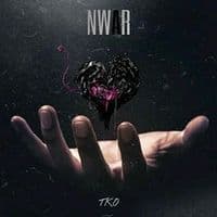 TikTok Account - rayenhnikes665