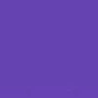 TikTok Account - blinnkies