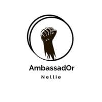 TikTok Account - ambassadornellie