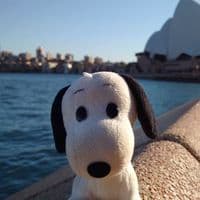 TikTok Account - pizzabayron