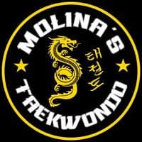 TikTok Account - molinas.taekwondo