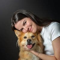 TikTok Account - simonsits