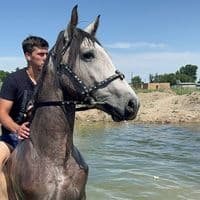 TikTok Account - frunzik97