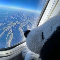 TikTok Account - ziro_x4