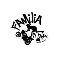 TikTok Account - izac.mantovani