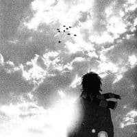 TikTok Account - bokify