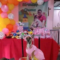 TikTok Sound - original sound - the lucky chumz πΆπ³οΈβπ