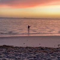 TikTok Account - fangirly4life99