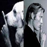 TikTok Account - joonfilmss