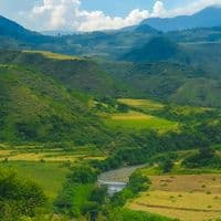 TikTok Account - kiya_nature