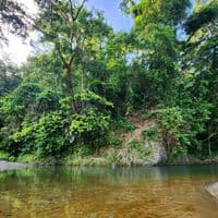 TikTok Account - videos.de.naturale