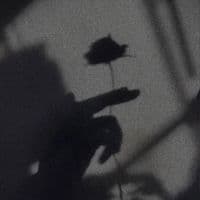 TikTok Account - sfgklv