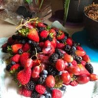 TikTok Account - 3_buckeyes_1_pecan