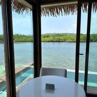 TikTok Account - expressionztravels