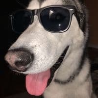 TikTok Account - okayytayyy