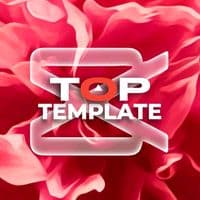 TikTok Account - toptemplate