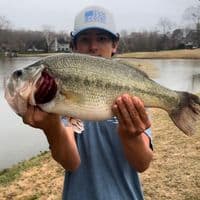 TikTok Account - fishn_shi