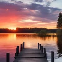 TikTok Account - cttdamour1