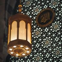 TikTok Account - weloveislamwelove