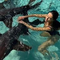 TikTok Account - lxxx.555