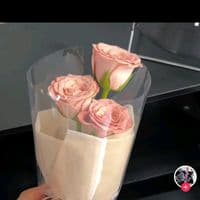 TikTok Account - spillprodukunik03