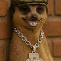 TikTok Account - pappyjames4