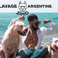 TikTok Account - dog.argentin.16