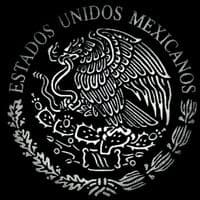 TikTok Account - lyrics_mexico