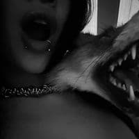 TikTok Account - sixsixsixfrgoet