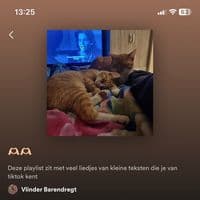 TikTok Account - lyricssongsbyme