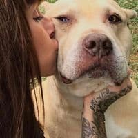 TikTok Account - yesshira