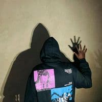 TikTok Account - tivamonak29