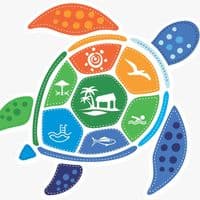 TikTok Account - hojasbeach