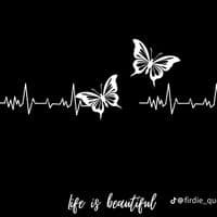 TikTok Account - halimatuembalo1