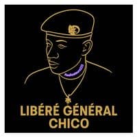 TikTok Account - momochico222