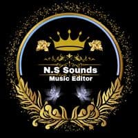 TikTok Account - n.s.music18