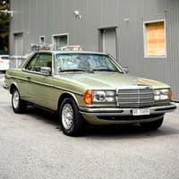 TikTok Account - njbl560