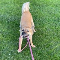 TikTok Account - jakesrepsfinds