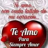 TikTok Account - hernandezeliseo38