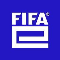 TikTok Account - fifae