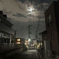 TikTok Account - stepfathr