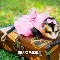 TikTok Account - lolaecris