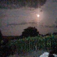 TikTok Account - melodicalsfx