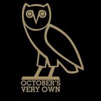 TikTok Account - drakevaultt