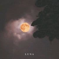 TikTok Account - marcogdp