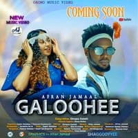 TikTok Account - afranjamaal