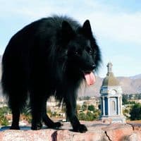 TikTok Account - drakko_1710